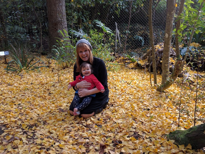 Inductions, Intrinsic Motivation and Interesting&nbsp;developments.